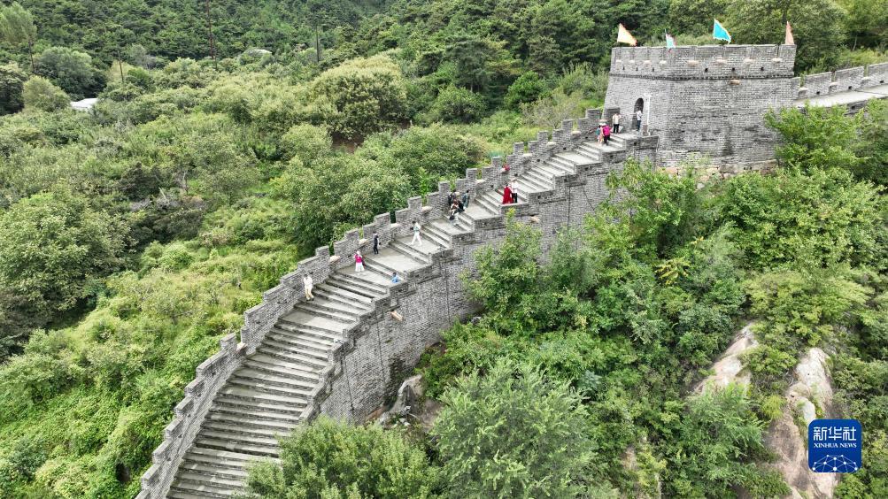 永圣鱼乐捕鱼下载